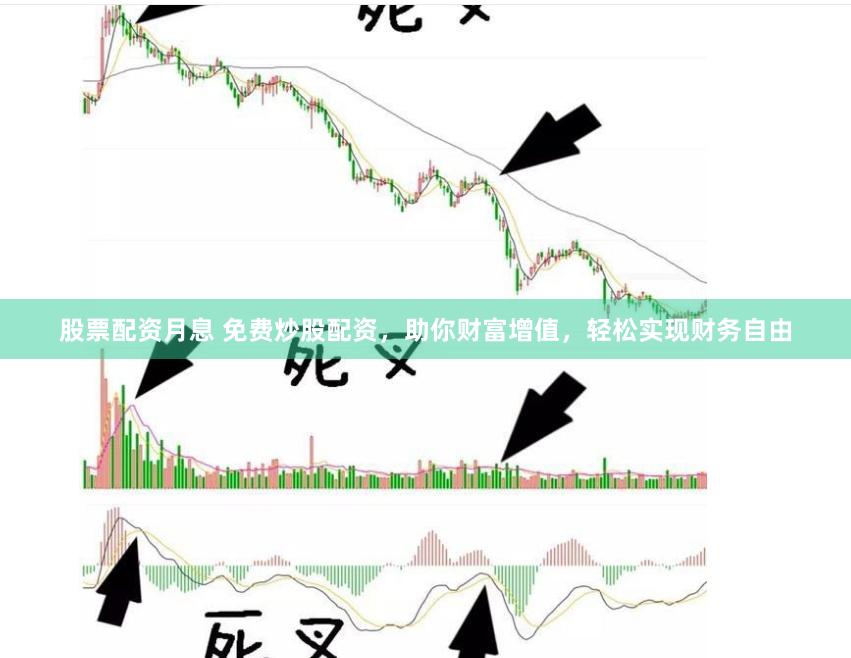 股票配资月息 免费炒股配资，助你财富增值，轻松实现财务自由