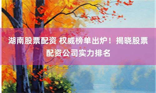 湖南股票配资 权威榜单出炉！揭晓股票配资公司实力排名
